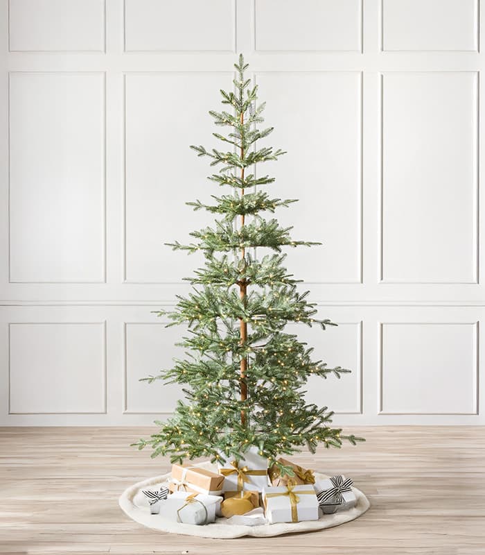 Alpine balsam fir trees.jpeg