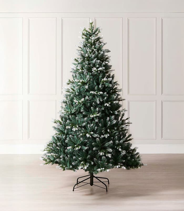 Evergreen snow flocked tip christmas tree.jpeg