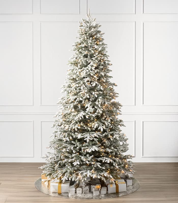 Frosted christmas tree.jpeg