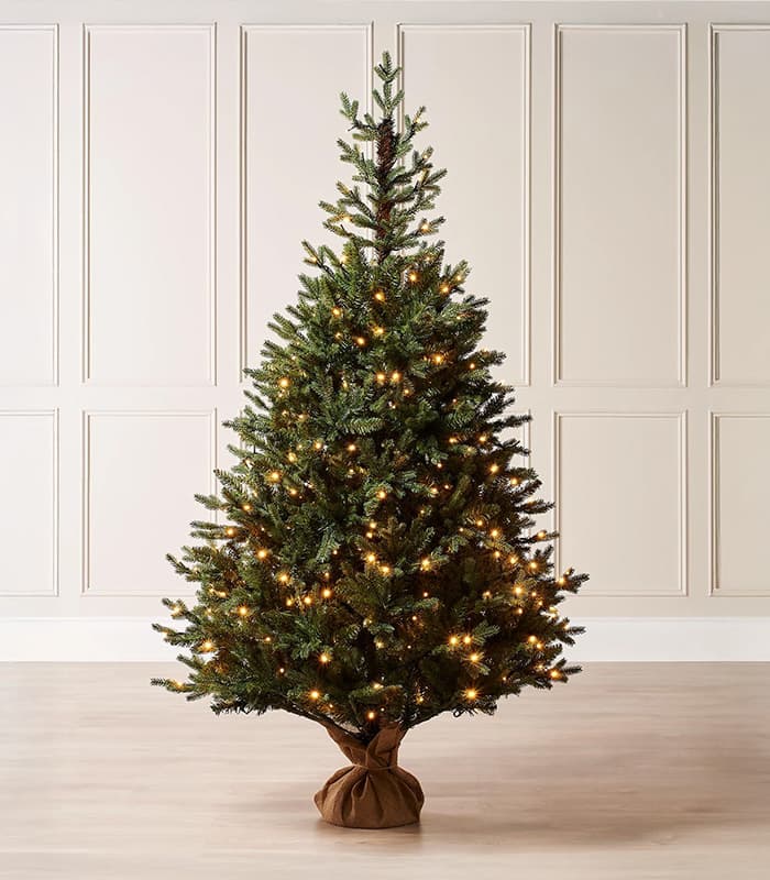 Norway christmas tree.jpeg