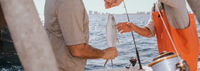 Edc collection fishing