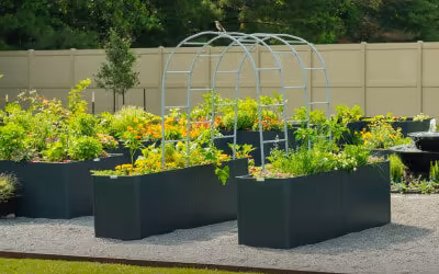 Modern_Garden_Beds_b24afa30-4229-4d77-85cd-75de595bd0c9